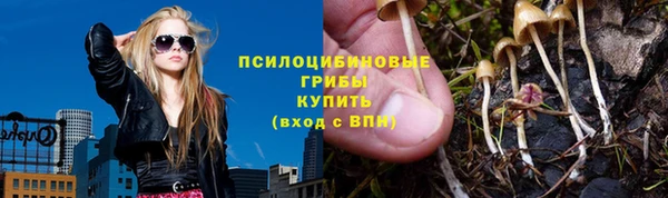 apvp Алзамай
