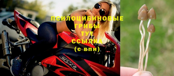 спиды Осинники