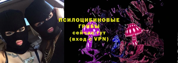 apvp Алзамай