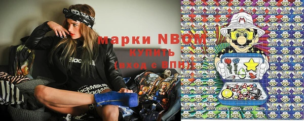 apvp Алзамай