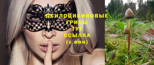 крисы Алексеевка