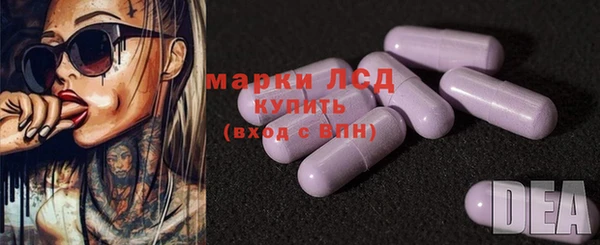 apvp Алзамай