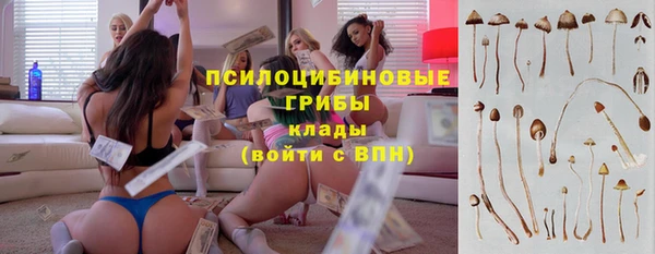 стаф Алексин
