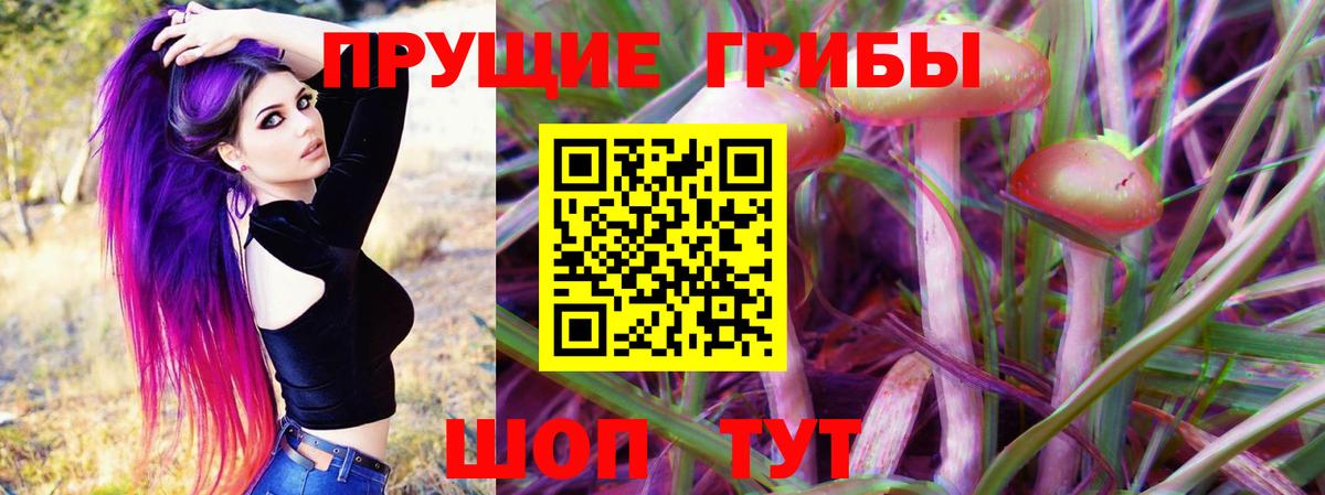 Псилоцибиновые грибы Cubensis Нижний Новгород