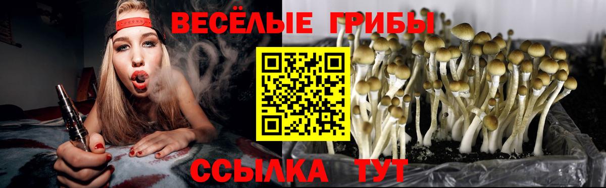 Нижний Новгород  Псилоцибиновые грибы прущие грибы  Вход с VPN  Галлюциногенные грибы Psilocybe 